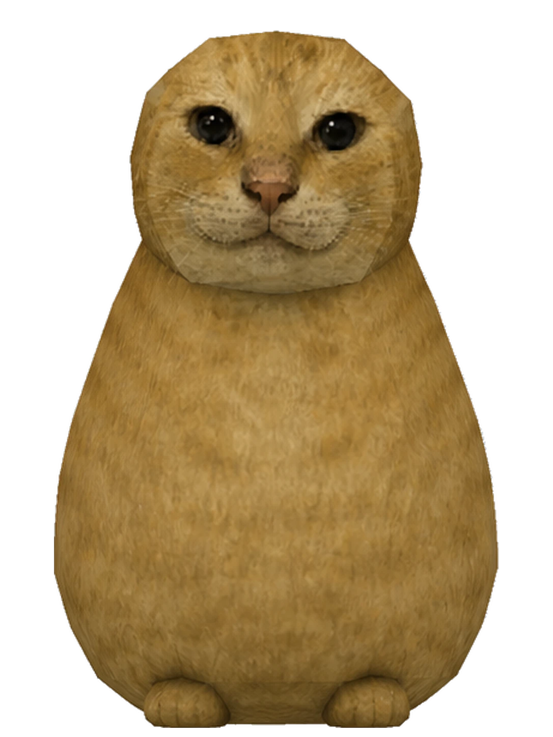 猫爹
